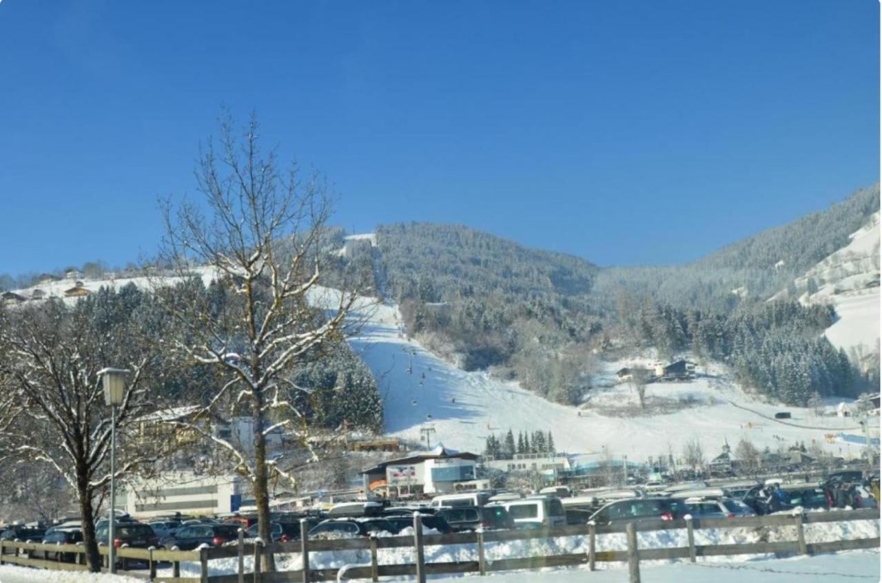 צל-אם-זי Alpine Lodge Apartment מראה חיצוני תמונה