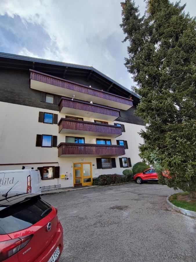 צל-אם-זי Alpine Lodge Apartment מראה חיצוני תמונה